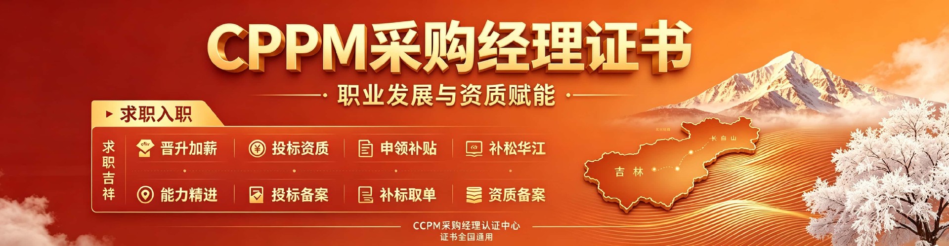名师团队