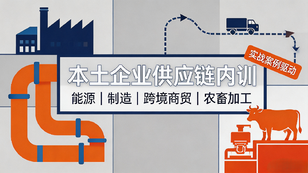 企业供应链实战专家｜定制团培专属讲师——王老师